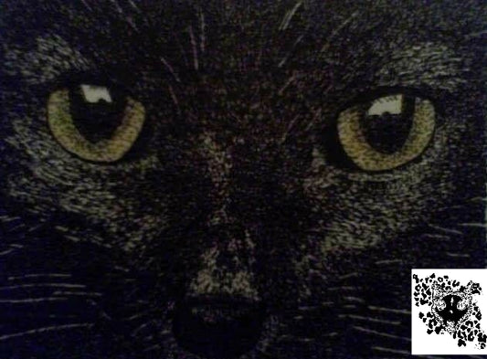 Black Cat Face